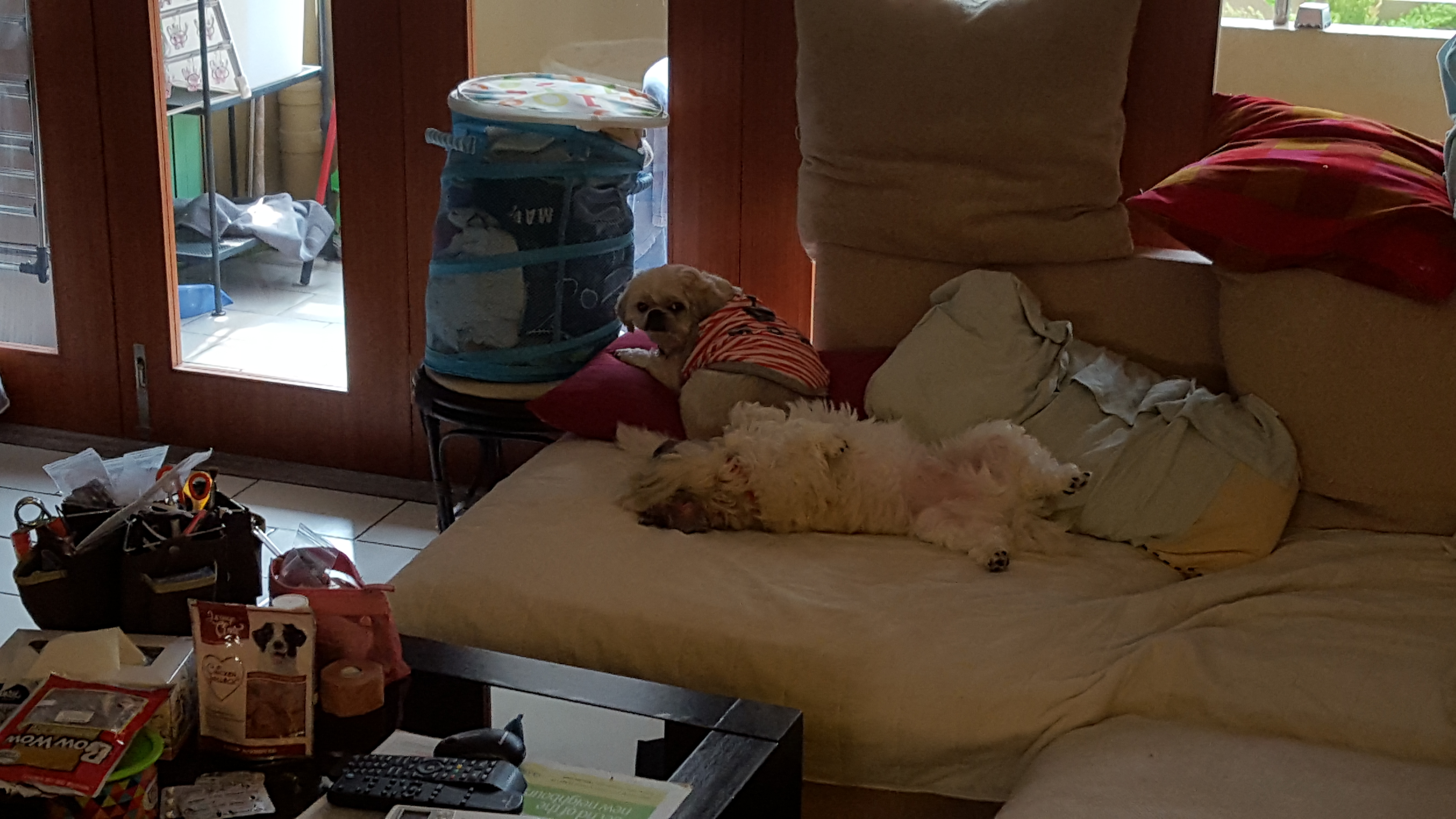 Family memory — 20151017 094222